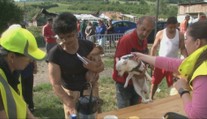 Veľká veterinárna akcia na východe Slovenska. Inšpektori sa zamerali na psy