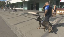 Do ulíc slovenského mesta sa po rokoch vracajú policajné psy. Majú si poradiť s problémovými ľuďmi
