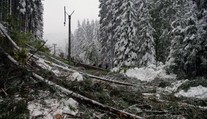 Na strednom Slovensku je bez elektriny 15-tisíc domácností, na západnom len 800