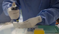 Vedci objavili účinné antibiotikum. Dokáže zničiť viacero doteraz odolných baktérií