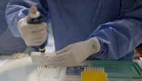 Vedci objavili účinné antibiotikum. Dokáže zničiť viacero doteraz odolných baktérií