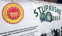 Stupavské zelé je jedinečná potravina v Európe