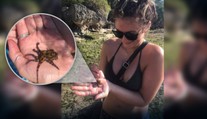 VIDEO: Turistka sa fotila s chobotnicou v rukách. Netušila, že ju môže ľahko zabiť