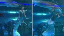 VIDEO: Animátorku v akváriu napadol obrovský jeseter. Ryba jej pred zrakmi kričiacich detí pohltila hlavu
