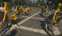 Stal sa fenoménom, ale aj terčom vandalov: Ako funguje bikesharing v Bratislave?
