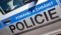 Bizarná nehoda v Česku. Auto tam zrazilo kenguru, zviera neprežilo