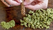 Zabudnite na mýtus o bezpečnej droge. Podľa nových zistení môže marihuana poškodzovať dôležitý orgán