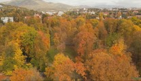 Banskobystričania sa boja, že sa obľúbený park zmení na pustatinu. Mesto chce vyrúbať stovky stromov