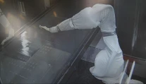 Pustili medzi seba roboty, no o prácu sa báť nemusia. Fabrika na nových „zamestnancov“ minula milióny eur