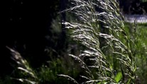 Neliečená alergia u detí môže viesť k astme. Špecialistov je málo, na termín sa čaká aj mesiace