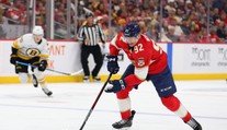 Pred rokom oslavoval zisk Stanley Cupu. Český majster z Pardubíc získal veľkú posilu priamo z NHL