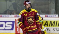 Narodil sa v Česku, jeho otec je slávny slovenský hokejista. Napriek tomu nemôže reprezentovať našu krajinu