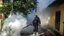 Čína hlási vyše 7 000 prípadov vírusu chikungunya. Na internete vypukla panika