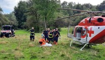 Tu sú detaily útoku medveďa na ženu v ovocnom sade za Hradišťom. Život jej zachránil manžel