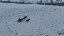 Na koni v zime: Vyskúšali sme si zasneženú vychádzku pod Poľanou