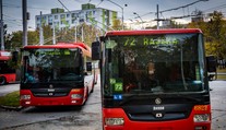 Turista neveril vlastným očiam. Spoje v Bratislave menia kvôli žabám
