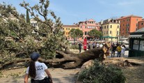 FOTO+VIDEO: Dráma v Benátkach. Turistické námestie sa zmenilo na miesto nešťastia, na skupinu ľudí spadol dub