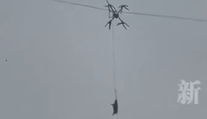 Lietajúce prasa baví internet. Farmár ho chcel odviezť dronom, vypol dedinu