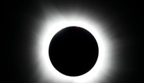 Zatmenie Slnka môže naznačiť zvieratám, že deň sa končí skôr. Ako pripraviť domácich miláčikov na zmenu svetla?