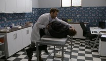 Mierumilovný veterinár? Ale kdeže! Tomáš Jara spacifikoval jediným chmatom