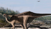 Objavili nový druh dinosaura s výraznou chrbtovou plachtou. Vedci vysvetlili, na čo slúžila
