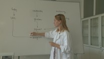 Keď sa veda stane trendom: Učiteľka z lekárskej fakulty oslovila tisíce ľudí na internete