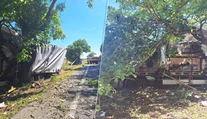 Tragická nehoda pri Dunajskej Strede. Vodič nákladiaku neprežil náraz do stromu