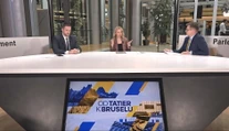 Europoslanci sa opäť zaujímajú o Slovensko. Keď vláda zníži tresty za korupciu, je to podozrivé, tvrdí Uhrík