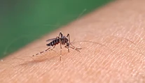 V Chorvátsku sa objavilo závažné ochorenie. Nemocnice už hlásia prvé prípady