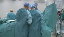 Medicínsky prelom. V Číne úspešne transplantovali prasaciu pečeň do tela človeka, žije s ňou už niekoľko dní