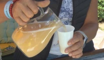 Prichádza sezóna burčiaku. Vinári radia, ako nájdeme tie najlepšie