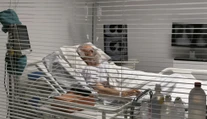 Ľudia po prijatí transplantovaného orgánu môžu dediť po darcovi aj spomienky, naznačuje štúdia