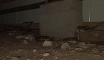 VIDEO: Hrozivý nález pod domom. Majiteľ tam našiel desiatky jedovatých štrkáčov