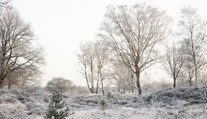 Čakajú nás biele Vianoce či upršaný december? Prinášame vám predpoveď počasia