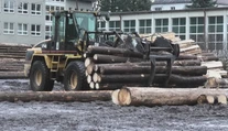 Projekt, ktorý môže pomôcť obciam ušetriť náklady na vykurovanie, sa nepáči vlastníkom lesov