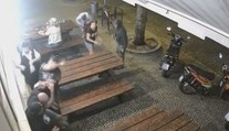 VIDEO: Päste i nadávky. Český poslanec zastupiteľstva zmlátil rusky hovoriaceho muža