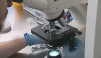 Vedci jasajú. Prelomový experiment dáva nádej tisícom párov