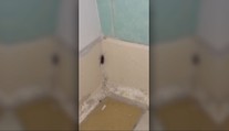 Pacient na urgente v Bratislave nakrútil šváby priamo v čakárni. Reakcia zdravotníka ho šokovala