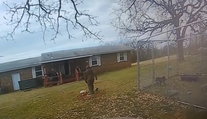 Chlapec (4) bol u starých rodičov. Keď chcel pohladkať šteňatá, jedno z nich mu odtrhlo ruku