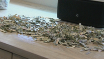 Rok šetrili peniaze, aby si splnili želanie. Vyše 1 000 dolárov im však skartoval syn (2)