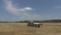 Naši poľnohospodári hlásia rekordnú úrodu. Dočkáme sa nakoniec aj lacnejších rožkov?