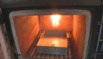 Nečakaný trend medzi milovníkmi zvierat. Zajačiky aj rybky nechávajú Slováci spopolňovať