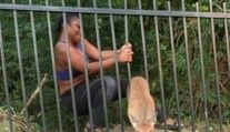 VIDEO: Ranný beh sa zmenil na záchrannú akciu. Po pár metroch prišlo prekvapenie