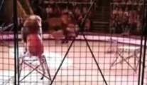 VIDEO: Hrôza v cirkuse na Ukrajine: Mohutný lev zaútočil na krotiteľa