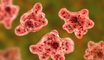 Vo vode z kúpaliska v Štúrove nenašli mozgožravú amébu Naegleria fowleri