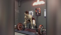 Len 19-ročná Slovenka prepísala svetový rekord. V drepe zdvihla 186,5 kilogramu