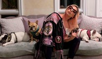 Lady Gaga ponúkla pol milióna za nájdenie jej psíkov: Je čas platiť