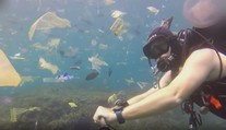 Krutá realita oceánov: Znečistenie je horšie, ako si väčšina ľudí myslí, hovorí slovenský potápač