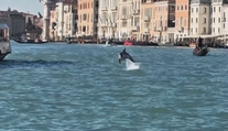 V Benátkach sa objavil netradičný návštevník. Pomedzi gondoly už mesiace pláva delfín Mimo