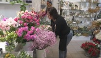 Očakávajú nápor zákazníkov. Na MDŽ sa kvetinárstva pripravujú v predstihu